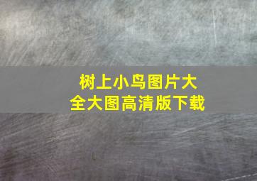 树上小鸟图片大全大图高清版下载