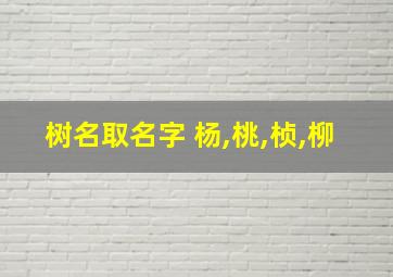 树名取名字 杨,桃,桢,柳