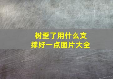 树歪了用什么支撑好一点图片大全