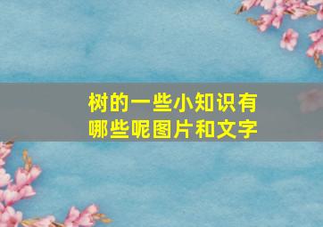 树的一些小知识有哪些呢图片和文字