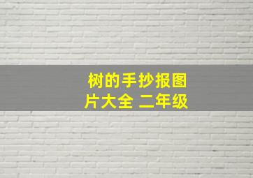 树的手抄报图片大全 二年级