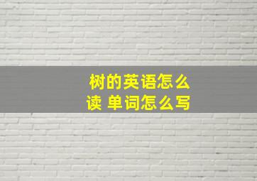 树的英语怎么读 单词怎么写