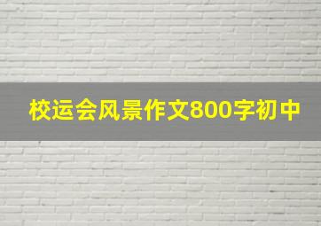 校运会风景作文800字初中