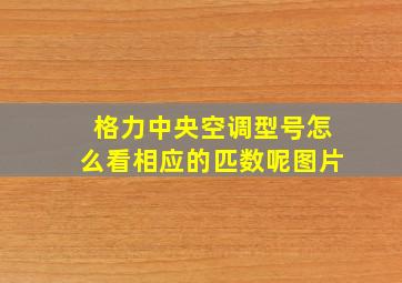 格力中央空调型号怎么看相应的匹数呢图片