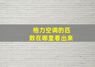 格力空调的匹数在哪里看出来