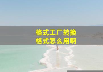 格式工厂转换格式怎么用啊