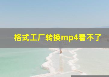 格式工厂转换mp4看不了