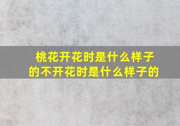 桃花开花时是什么样子的不开花时是什么样子的