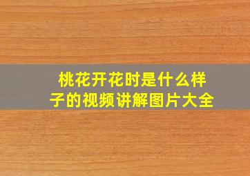 桃花开花时是什么样子的视频讲解图片大全