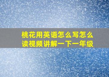 桃花用英语怎么写怎么读视频讲解一下一年级