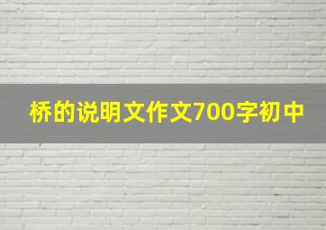 桥的说明文作文700字初中