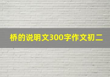 桥的说明文300字作文初二