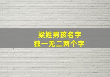 梁姓男孩名字独一无二两个字