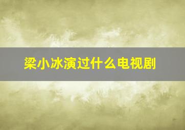 梁小冰演过什么电视剧