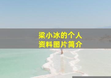 梁小冰的个人资料图片简介