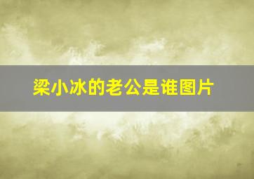 梁小冰的老公是谁图片