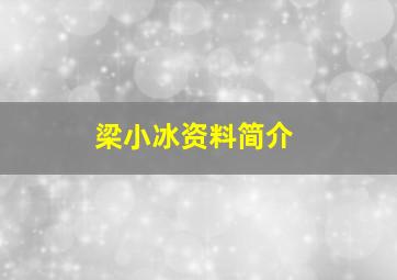 梁小冰资料简介