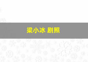 梁小冰 剧照