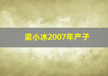 梁小冰2007年产子