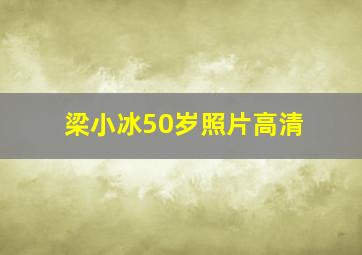 梁小冰50岁照片高清