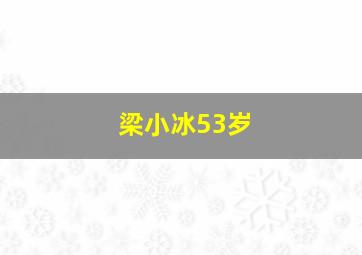 梁小冰53岁