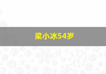 梁小冰54岁