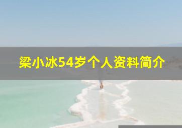 梁小冰54岁个人资料简介