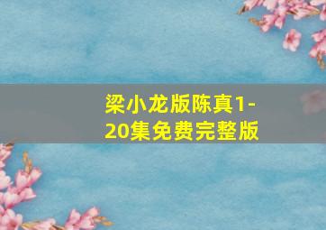 梁小龙版陈真1-20集免费完整版