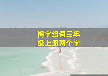 梅字组词三年级上册两个字