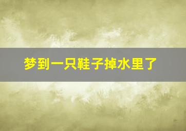 梦到一只鞋子掉水里了