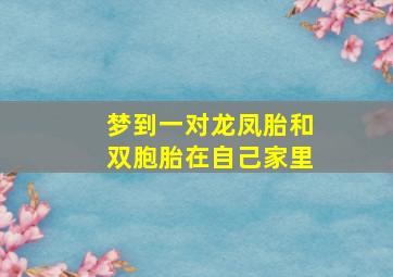 梦到一对龙凤胎和双胞胎在自己家里