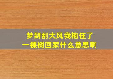 梦到刮大风我抱住了一棵树回家什么意思啊