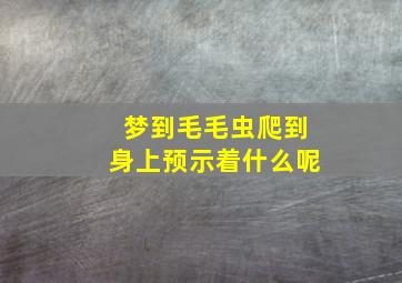 梦到毛毛虫爬到身上预示着什么呢