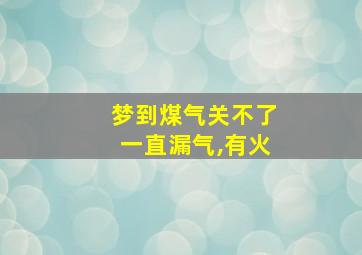 梦到煤气关不了一直漏气,有火