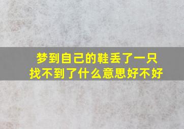 梦到自己的鞋丢了一只找不到了什么意思好不好