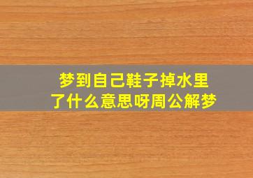 梦到自己鞋子掉水里了什么意思呀周公解梦