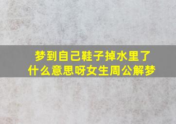 梦到自己鞋子掉水里了什么意思呀女生周公解梦