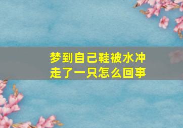 梦到自己鞋被水冲走了一只怎么回事