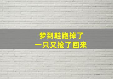 梦到鞋跑掉了一只又捡了回来