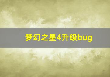 梦幻之星4升级bug