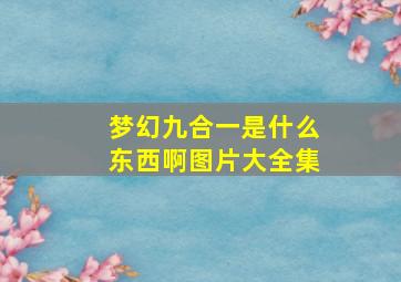 梦幻九合一是什么东西啊图片大全集