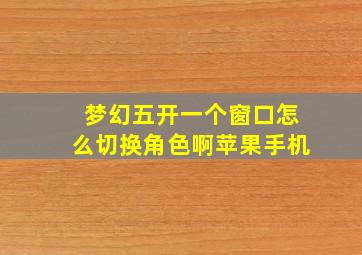 梦幻五开一个窗口怎么切换角色啊苹果手机