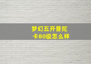 梦幻五开普陀卡80级怎么样