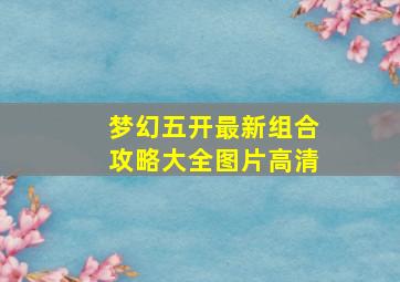 梦幻五开最新组合攻略大全图片高清