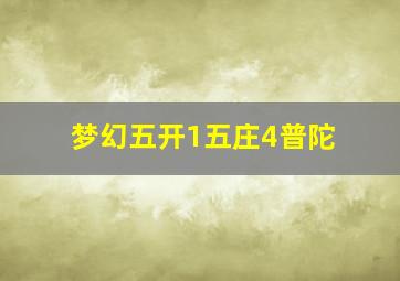 梦幻五开1五庄4普陀