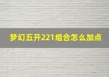 梦幻五开221组合怎么加点