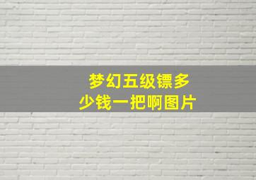 梦幻五级镖多少钱一把啊图片