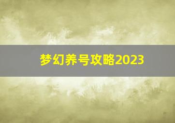 梦幻养号攻略2023