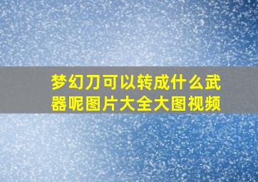 梦幻刀可以转成什么武器呢图片大全大图视频