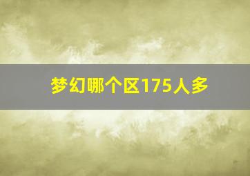 梦幻哪个区175人多